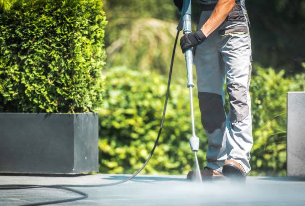 Best Pre-Holiday Cleaning  in Leesburg, OH